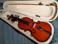 violon-44-blida-algerie