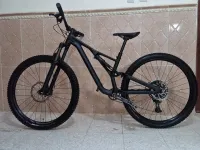 Stumpjumper 29