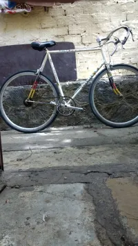 Ghazelle Vélo course 