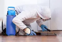 Dératisation, Désinsectisation, Désinfection (opération 3D) pour entreprise et particuliers 