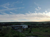 terrain-agricole-vente-tlemcen-remchi-algerie