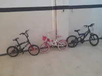 3 veno
