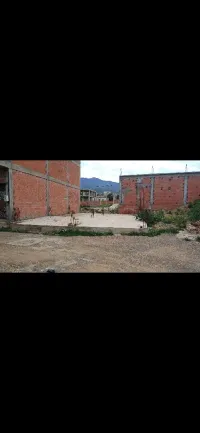 Vente Terrain Blida Ain romana