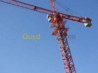 materiaux-de-construction-grue-a-tour-zoomlion-annee-2015-oumache-biskra-algerie