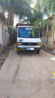 camion-marcedes-mercedes-1994-birtouta-alger-algerie