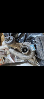 pieces-moteur-turbo-15dci-clio-kangoo-bouira-algerie