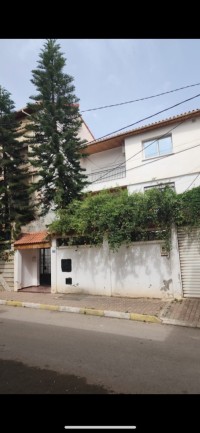villa-sell-blida-algeria
