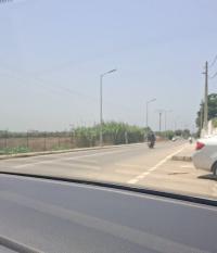 أرض-بيع-الجزائر-عين-طاية