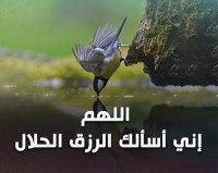 عامل يومي