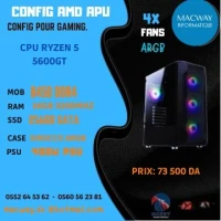 CONFIG PC GAMER RYZEN 5 5600GT 16GB RAM 6x12 256GB SSD 4.60 Ghz Turbo Am4
