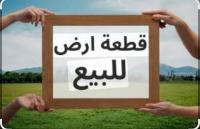 أرض-بيع-تلمسان-الجزائر