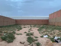 Location Terrain Djelfa Djelfa
