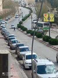 شقة-كراء-ستوديو-المدية-الجزائر