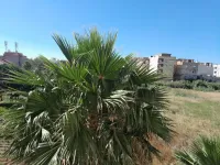 Location Appartement F2 Alger Bordj el kiffan