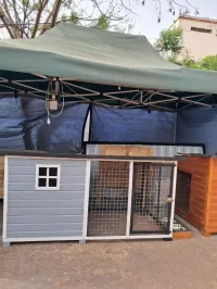 niche pour chien بيت كلاب 
