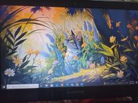 كمبيوتر-محمول-pc-portable-intel-celeron-n3060-4go-ram-windows-10-pro-pret-a-lutilisation-بئر-توتة-الجزائر