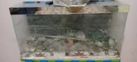Aquarium 