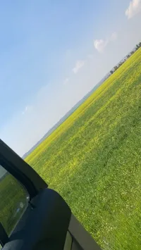Location Terrain Agricole Saïda Ouled khaled