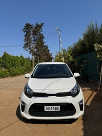 سيارات-kia-picanto-2024-سطاوالي-الجزائر