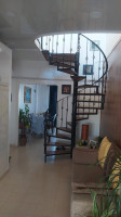 duplex-vente-f5-alger-birkhadem-algerie