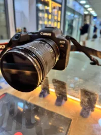 Canon R6 