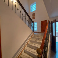 duplex-location-f5-alger-el-biar-algerie