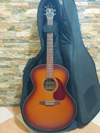 Guitare Seagull Entourage Rustic Mini Jumbo