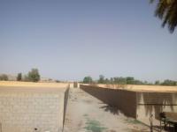 أرض-فلاحية-كراء-الأغواط-الجزائر