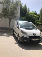 commerciale-peugeot-expert-2009-vu-long-batna-algerie