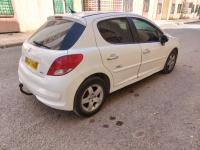 voitures-peugeot-207-2010-bouzina-batna-algerie