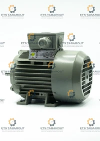 Moteur électrique ENEL 