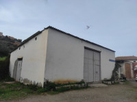 hangar-location-bejaia-amizour-algerie