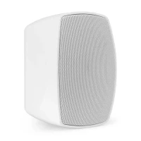 BHW50WH ENCEINTE MURAL 80W