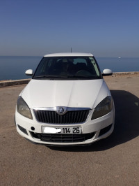 voitures-skoda-fabia-2014-medea-algerie