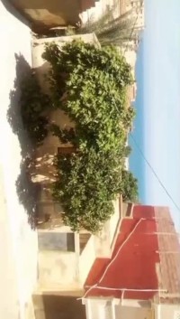 أرض-بيع-الشلف-المرسى-الجزائر