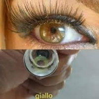 autre-lentille-de-couleur-soleko-queens-giallo-noisettemiel-عدسات-ملونة-oran-algerie