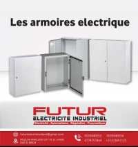 Les coffres et Les armoires électrique 