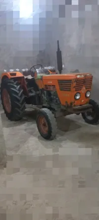 Cirta Cirta 1980