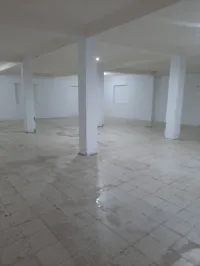 Location Local Alger Staoueli