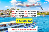 Vente billet d'avion Istanbul pour le mois de juin