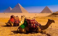 VENTE BILLET CHARM EL SEIKH VOL DIRECT 