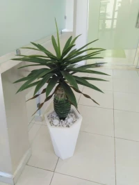 Pots et Plantes Artificielles