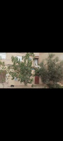 villa-vente-ain-temouchent-beni-saf-algerie
