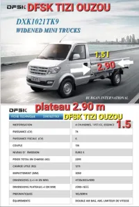 DFSK Simple cabine 1.5 2024 C31