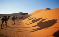 TAMANRASSET EL HOGGAR EN PENSION COMPLETE 67.000 DA 07 JOURS