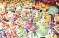  ligne de production des barquettes en polystyrène pour fruits, légumes, viande et fastfood.