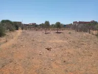 Vente Terrain Mostaganem Sidi lakhdaara