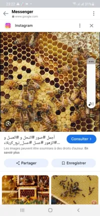 اطارات شمع ممطوطة