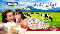 alimentaires-camembert-100-lait-de-vache-mazouna-relizane-algerie