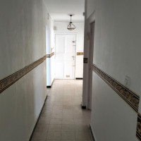 appartement-location-f3-alger-les-eucalyptus-algerie